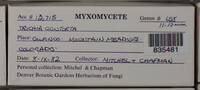 Image Associated With the Occurence